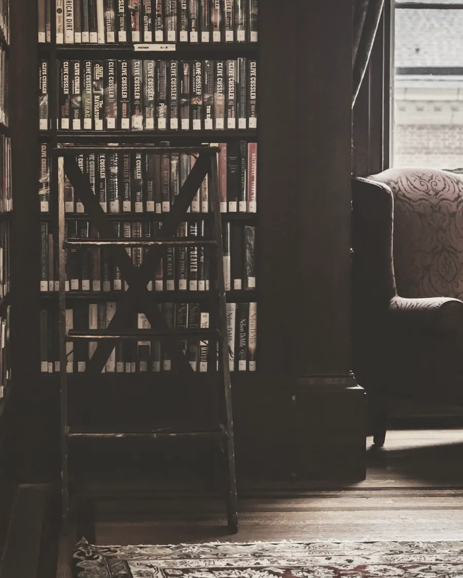 A reading chair by the library windows